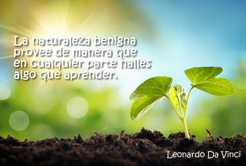 Algo que aprender. Reflexiones. Psicologos Madrid y Psicologos Valladolid Algo que aprender. Reflexiones. Psicologos Madrid y Psicologos Valladolid